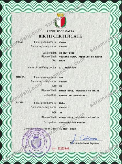 Malta vital record birth certificate PSD template